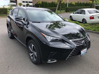 2019 Lexus NX