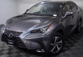 2019 Lexus NX